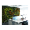 Living Plant Walls - office furniture
