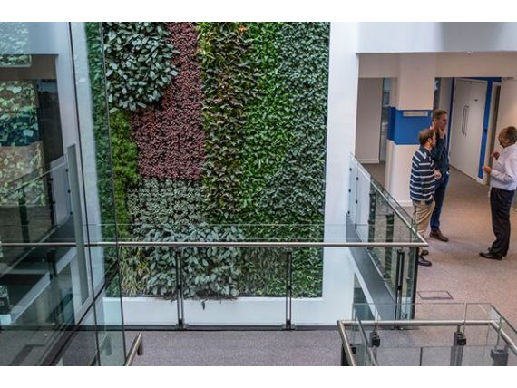 Living Plant Walls(7)