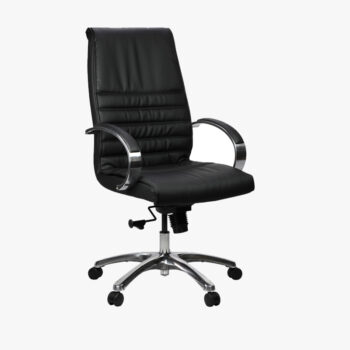 Frank Leather Executive Chair - office furniture